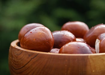 The Perfect Holiday Nut: How to Roast Chestnuts | Mairead Callahan, RDN, CPT | Improving Health blog by CareATC, Inc.