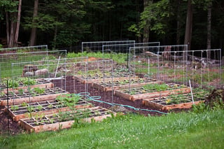 Tips to Start your Spring Garden Today | Mairead Callahan, RDN, CPT | Improving Health blog by CareATC, Inc.